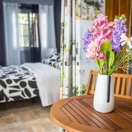 Bajo Boquete Dos Morenas Apartments - Apt 3 מראה חיצוני תמונה