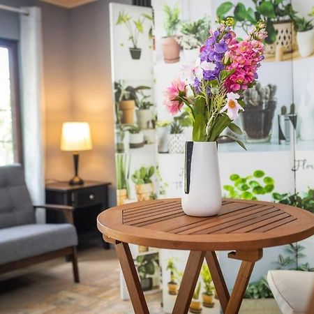 Bajo Boquete Dos Morenas Apartments - Apt 3 מראה חיצוני תמונה