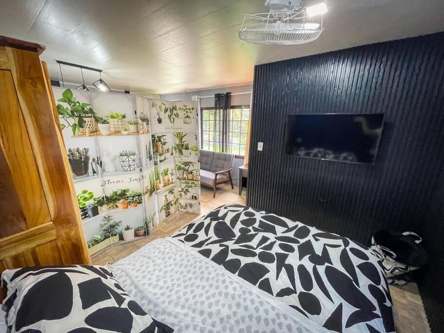 Bajo Boquete Dos Morenas Apartments - Apt 3 מראה חיצוני תמונה