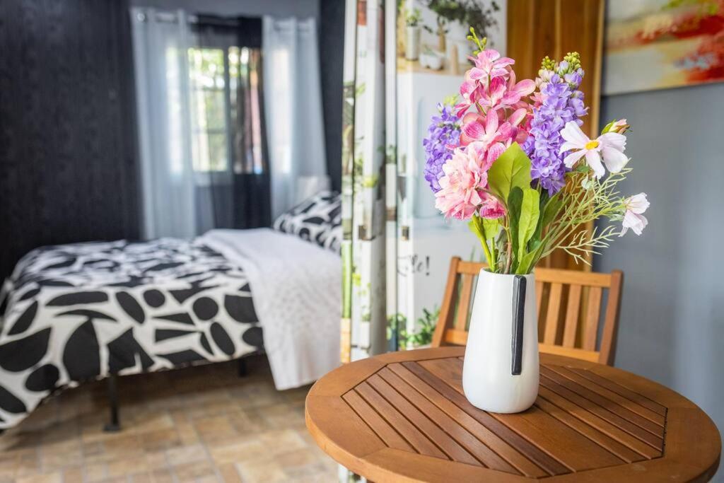 Bajo Boquete Dos Morenas Apartments - Apt 3 מראה חיצוני תמונה
